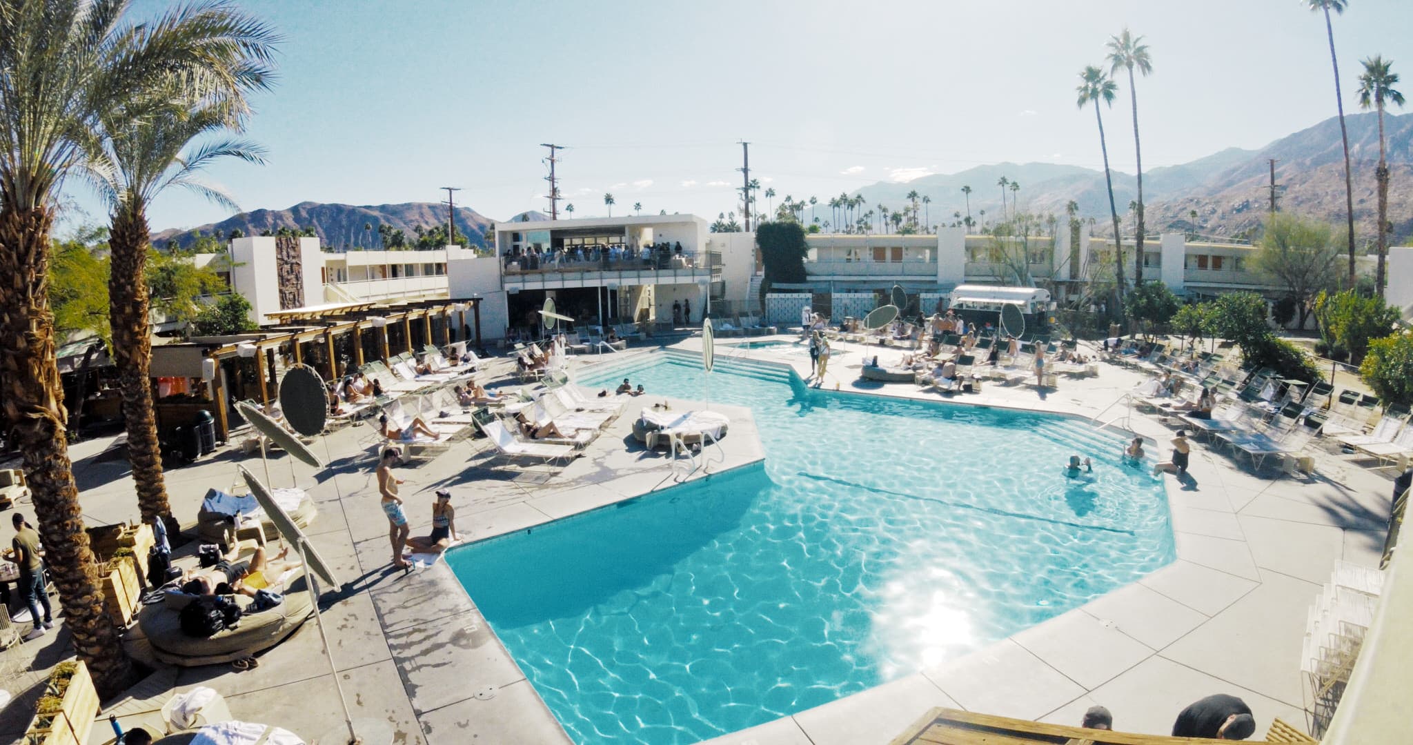 pool at ace hotel palm springs